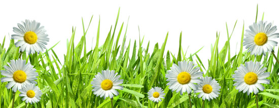 Frühling